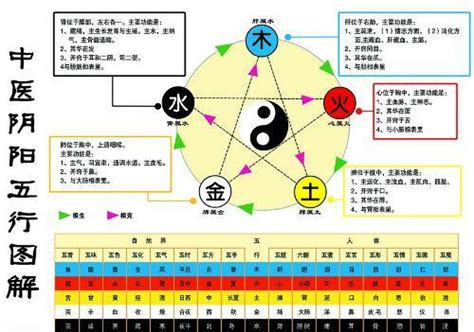 水生金|怎样理解五行理论中的“金生水”？